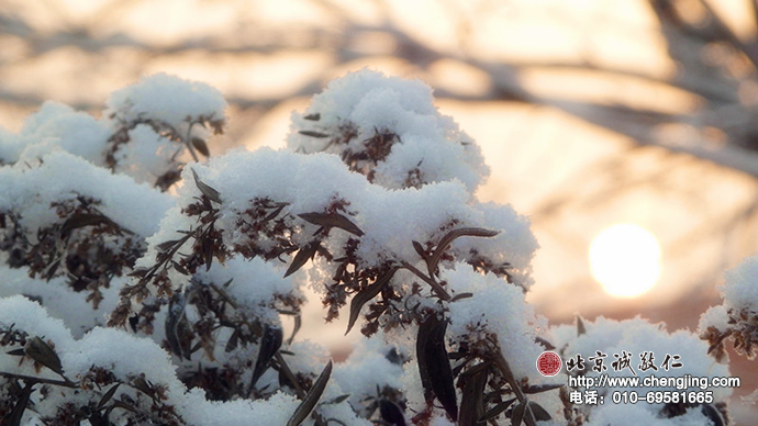 伴着一场瑞雪，北京诚敬仁2015年寒假德艺书法培训拉开了帷幕。